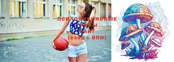 мдпв Кукмор