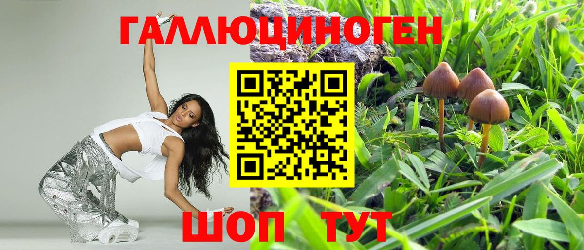 Галлюциногенные грибы мицелий  Вход с VPN  Урус-Мартан 