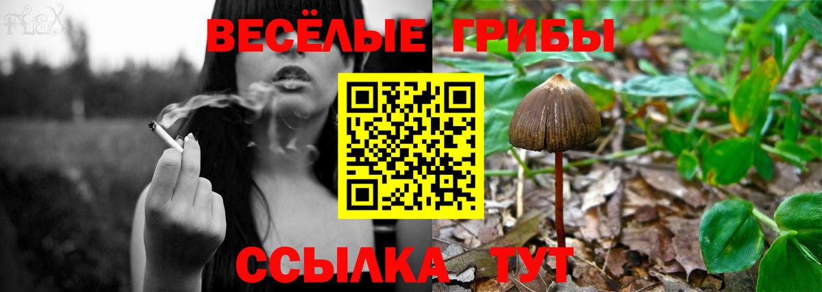 Псилоцибиновые грибы GOLDEN TEACHER Урус-Мартан